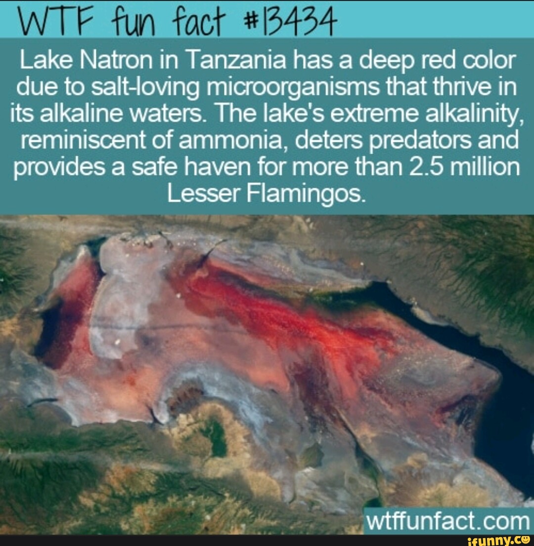 WTE tun fact Lake Natron in Tanzania has a deep red color due to