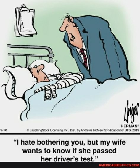 HERMAN'
9-18 LaughingStock Licensing Dist by Andrews McMoel Syndication for UFS, 2019
"I hate bothering you, but my wife wants to know if she passed her driver's test."