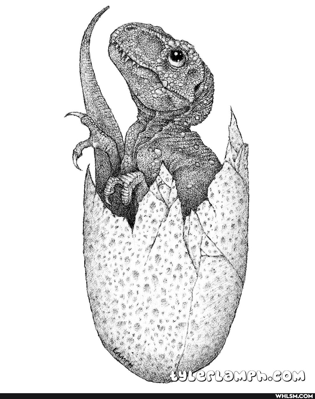 baby_animals, jurassic_park, ballpoint_drawing, tyrannosaurus_rex, babydinosaur
