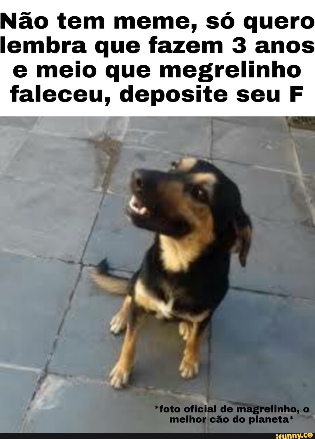 Não tem meme, só quero
lembra que fazem 3 anos
e meio que megrelinho
faleceu, deposite seu F
