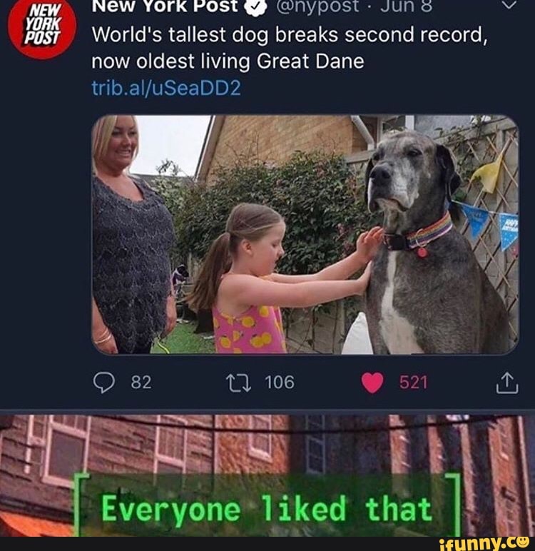New YTOrk POSt 449 (Nypost World's tallest dog breaks second record,
now oldest living Great Dane