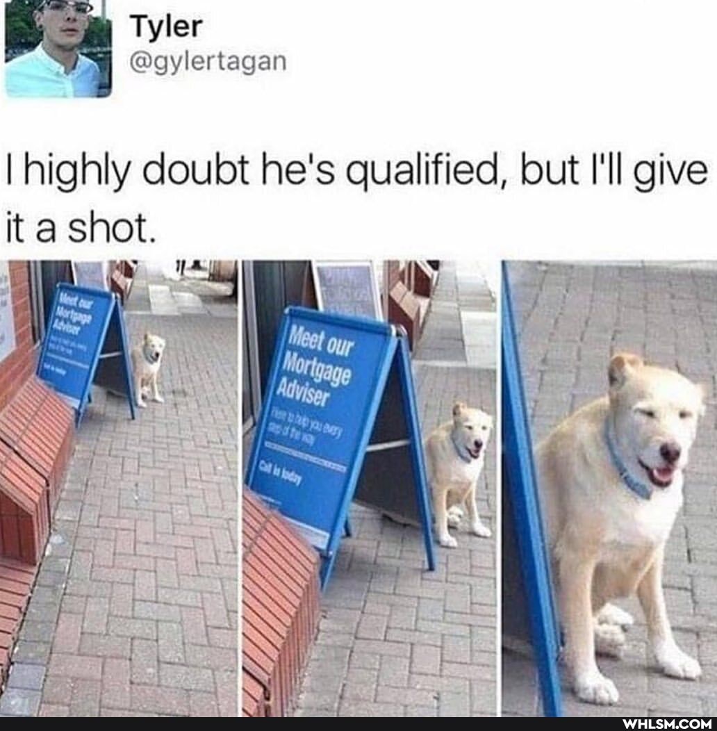 Tyler
@gylertagan
I highly doubt he's qualified, but I'll give it a shot.