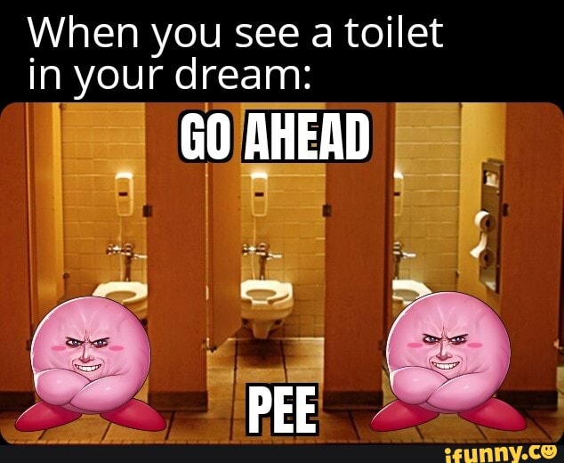 When you see a toilet in your dream GO AHEAD PEE iFunny
