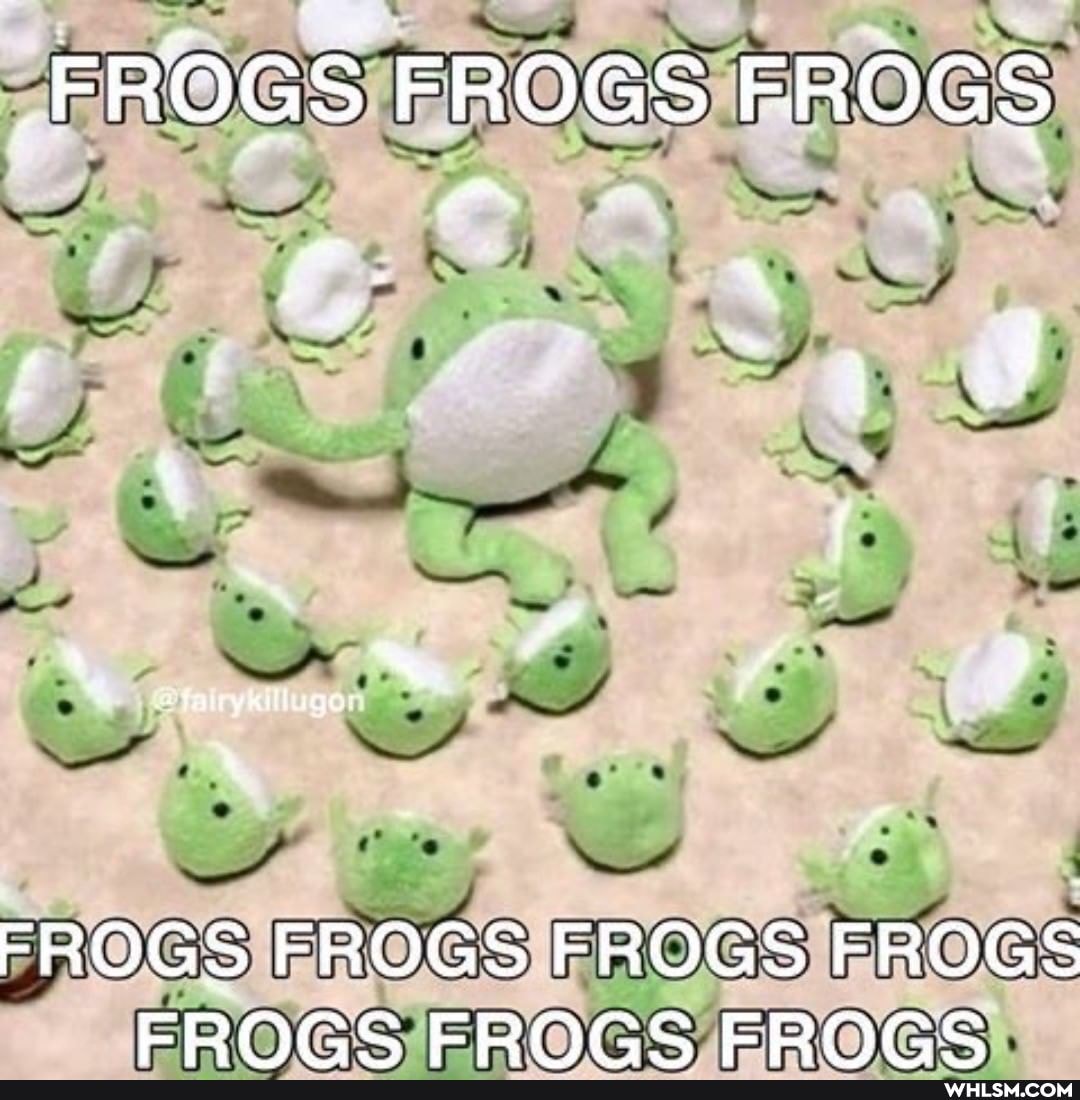 FROGS FROGS FROGS
we
FROGS FROGS FROGS FROGS FROGS EEROGS FROGS