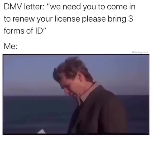 DMV letter "we need you to come in to renew your license please bring 3 forms of ID" iFunny )