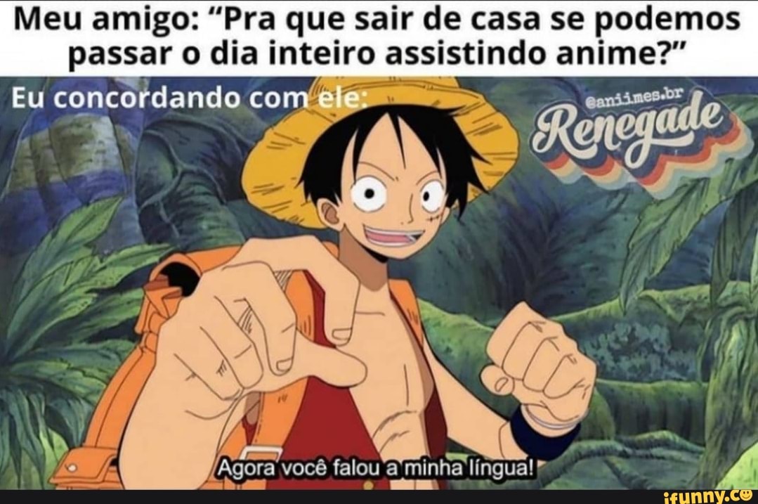 Meu amigo: "Pra que sair de casa se podemos passar o dia inteiro assistindo anime?"
Eu concordando com