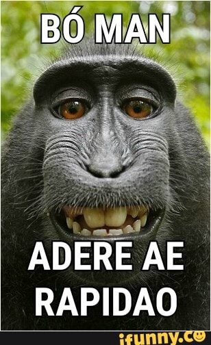 ADERE AE
RAPIDAO