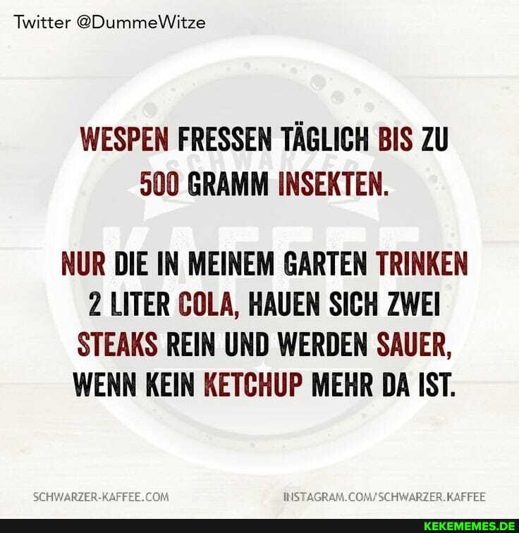 Twitter @DummeWitze
WESPEN FRESSEN TÄGLICH BIS ZU
900 GRAMM INSEKTEN.
NUR DIE IN MEINEM GARTEN TRINKEN
2 LITER COLA, HAUEN SICH ZWEI STEAKS REIN UND WERDEN SAUER,
WENN KEIN KETCHUP MEHR DA IST.
INST,