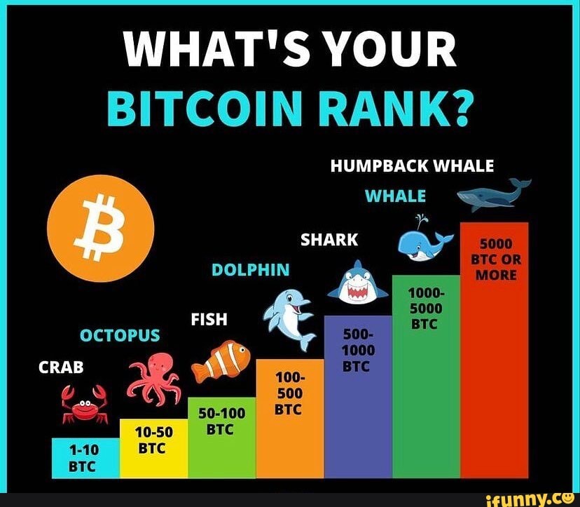 btc coinrank