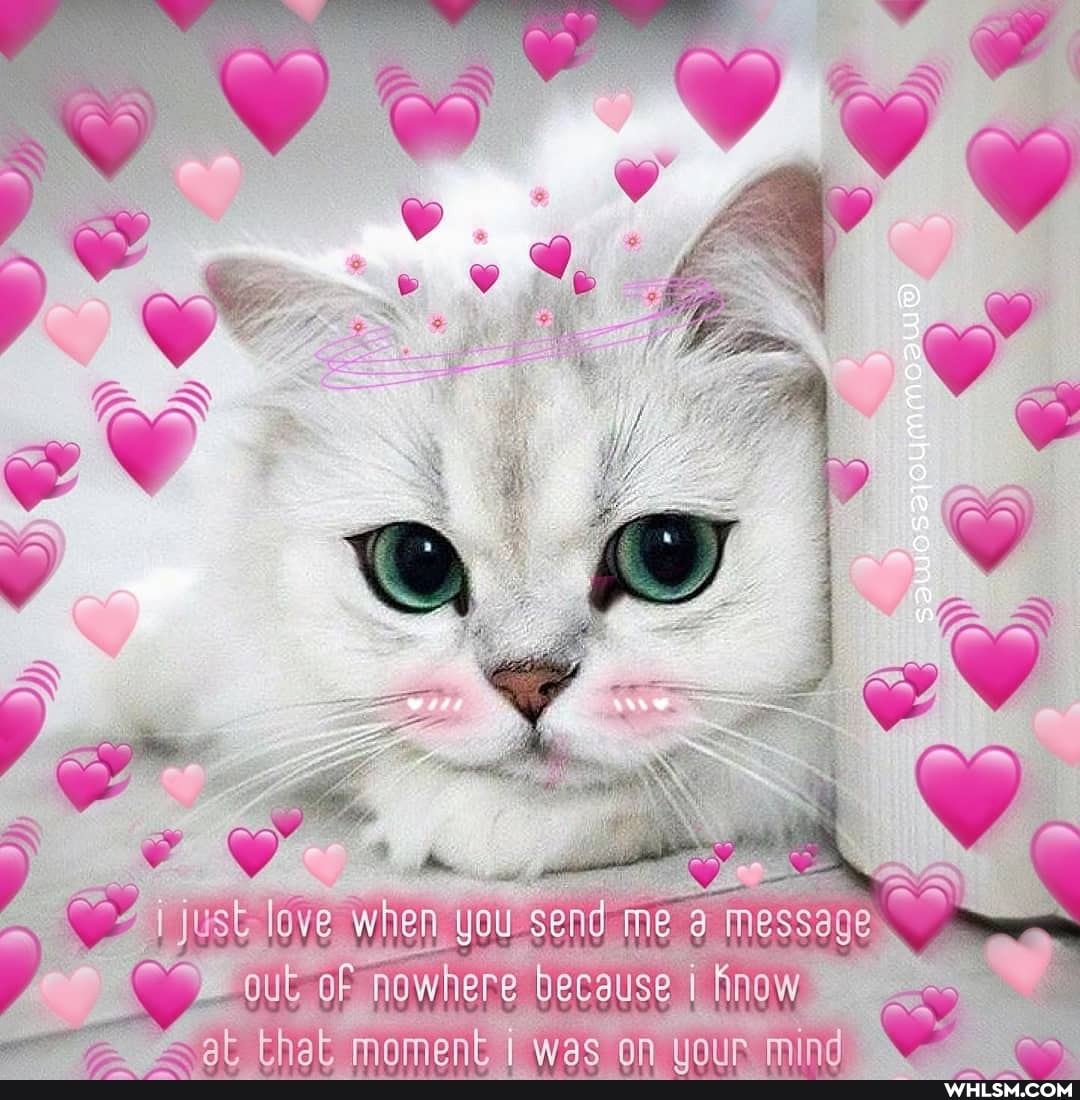 NAY
ust lave when y you send me "Message
out of nowhere because i finow ak mameank i wae mind