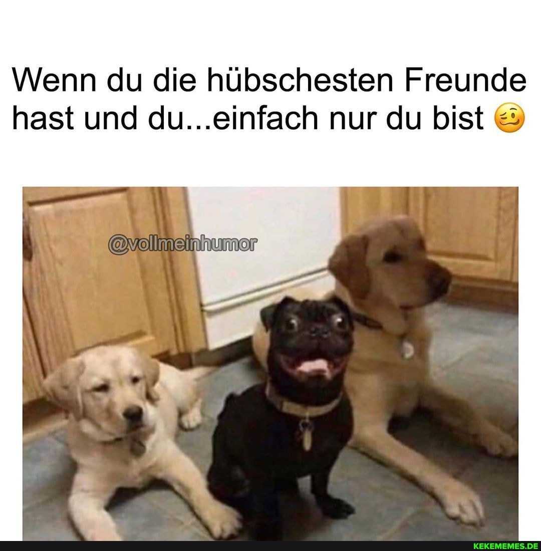 Wenn du die hübschesten Freunde
hast und du...einfach nur du bist