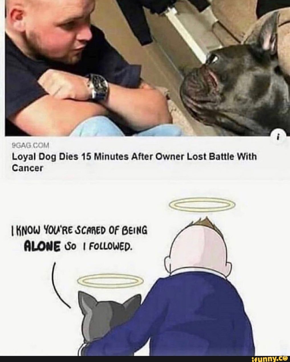 Loyal Dog Dies 15 Minutes After Owner Lost Battle With
Cancer
I KNOW YOU'RE SCARED OF BEING ALONE \So I FoLLOWED.