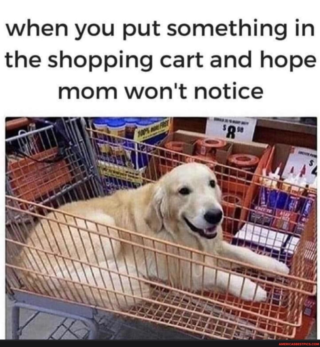 when you put something in the shopping cart and hope mom won't notice