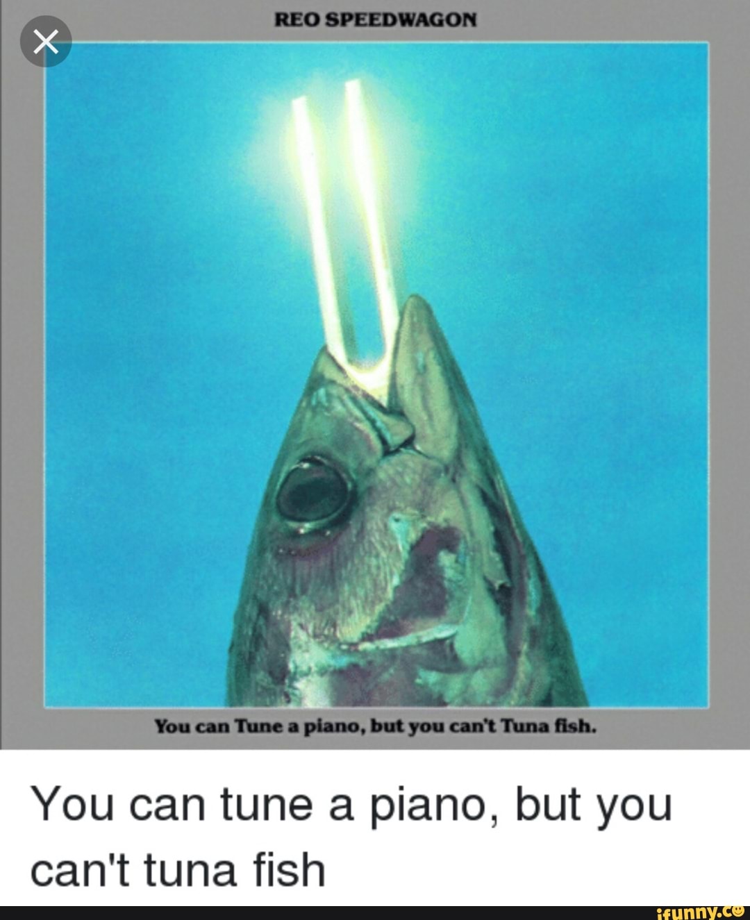 You Can Tune A Piano But You Can T Tuna Fish