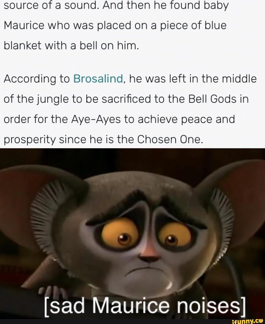 Source of a sound. And then he found baby Maurice who was placed on a piece, image size:1080x1322