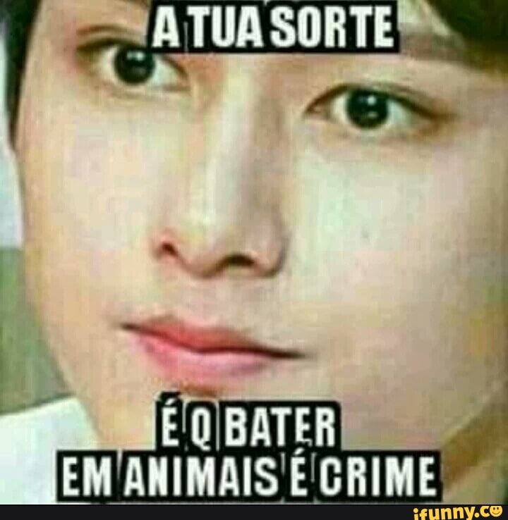 EM ANIMAIS É CRIME