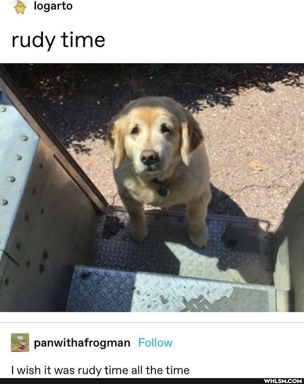 rudy time
panwithafrogman Follow
ll it wae riidv time all the timea