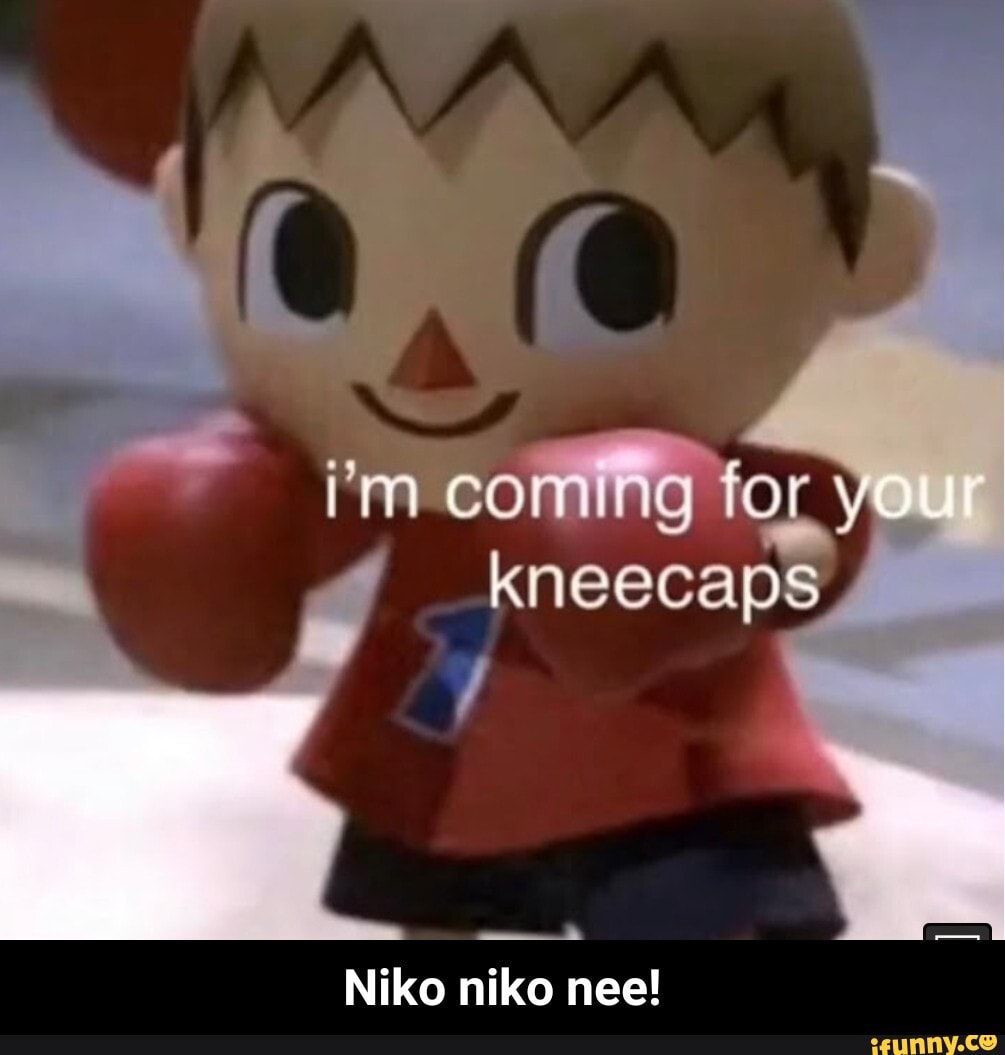 Kneecaps memes. Best Collection of funny Kneecaps pictures on iFunny Brazil