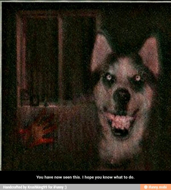 You have now seen this. I hope you know what to do. - You have now seen this. I hope you know what to do.