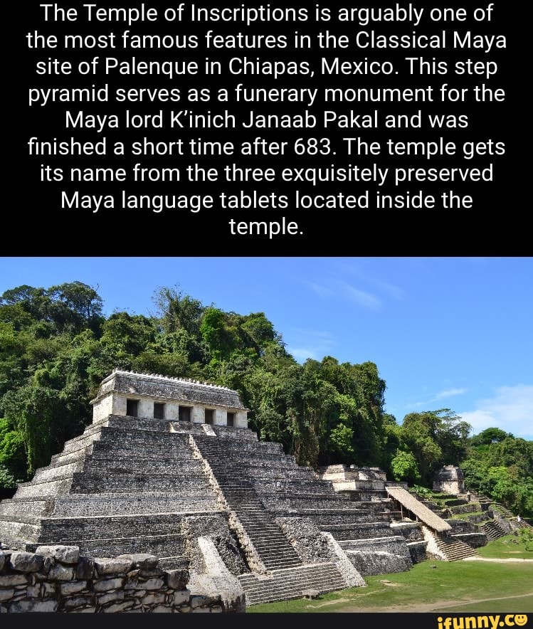 Palenque memes. Best Collection of funny Palenque pictures on iFunny