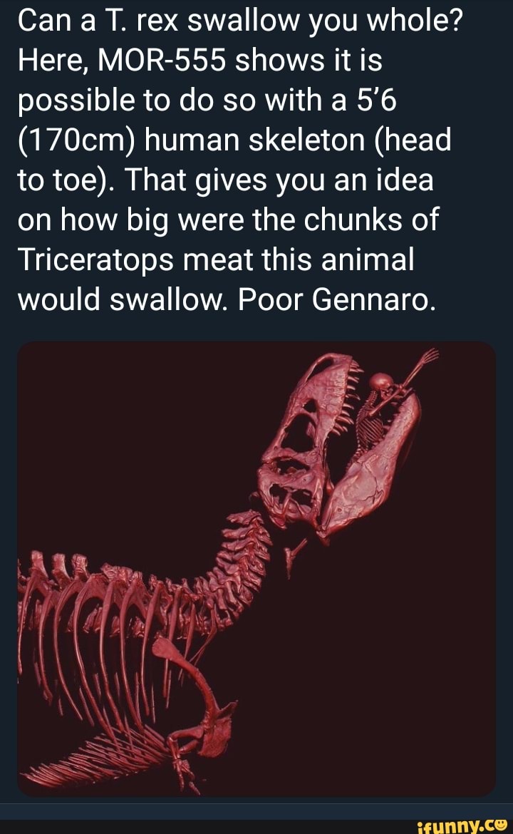 Can a T. rex swallow you whole? Here, MOR555 shows it is possible to