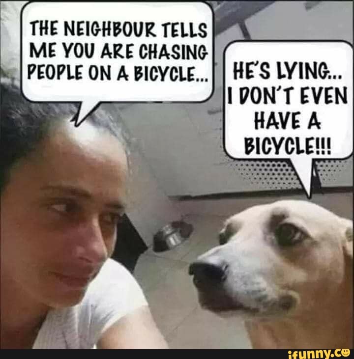 THE NEIGHBOUR TELLS ME YOU ARE CHASING I PEOPLE ON A BICYCLE... HE'S