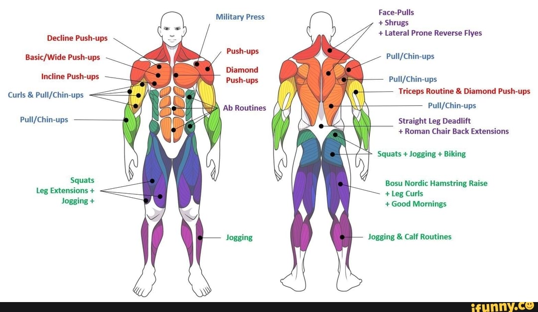 Face-Pulls + Shrugs + Lateral Prone Reverse Flyes Military Press ...