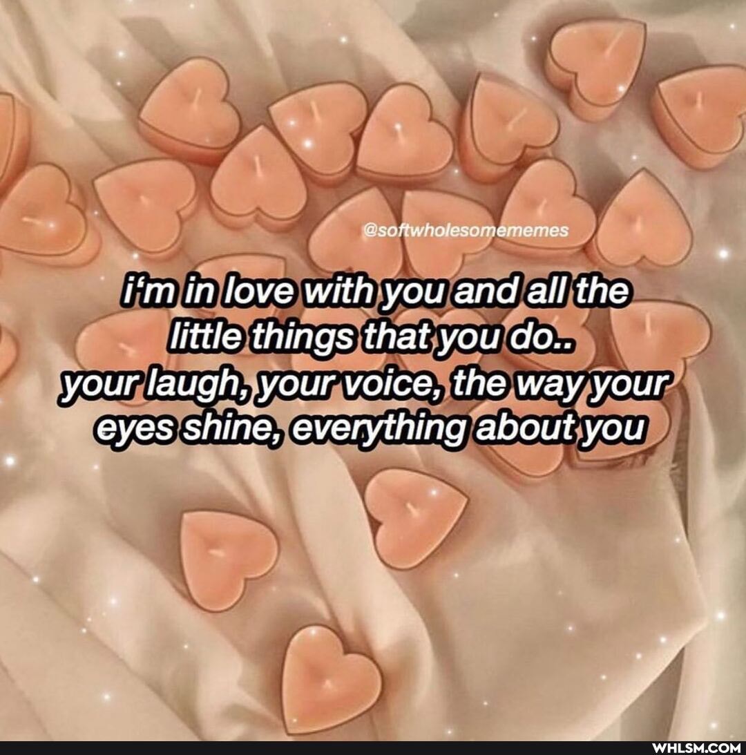 in love with you and all the littie things that you do..
your laugh, your voice, the way your eyes shine, everything about you