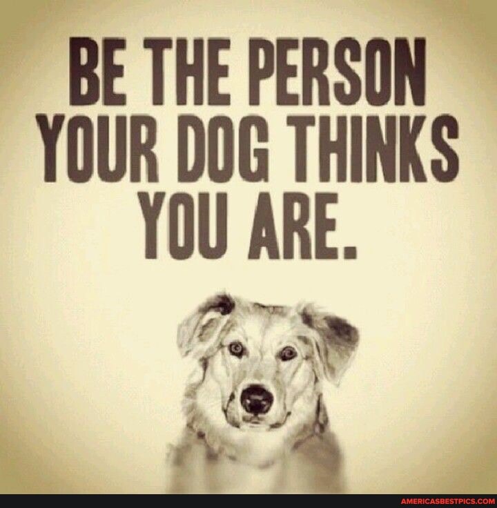 BE THE PERSON YOUR DOG THINKS YOU ARE.
ve one