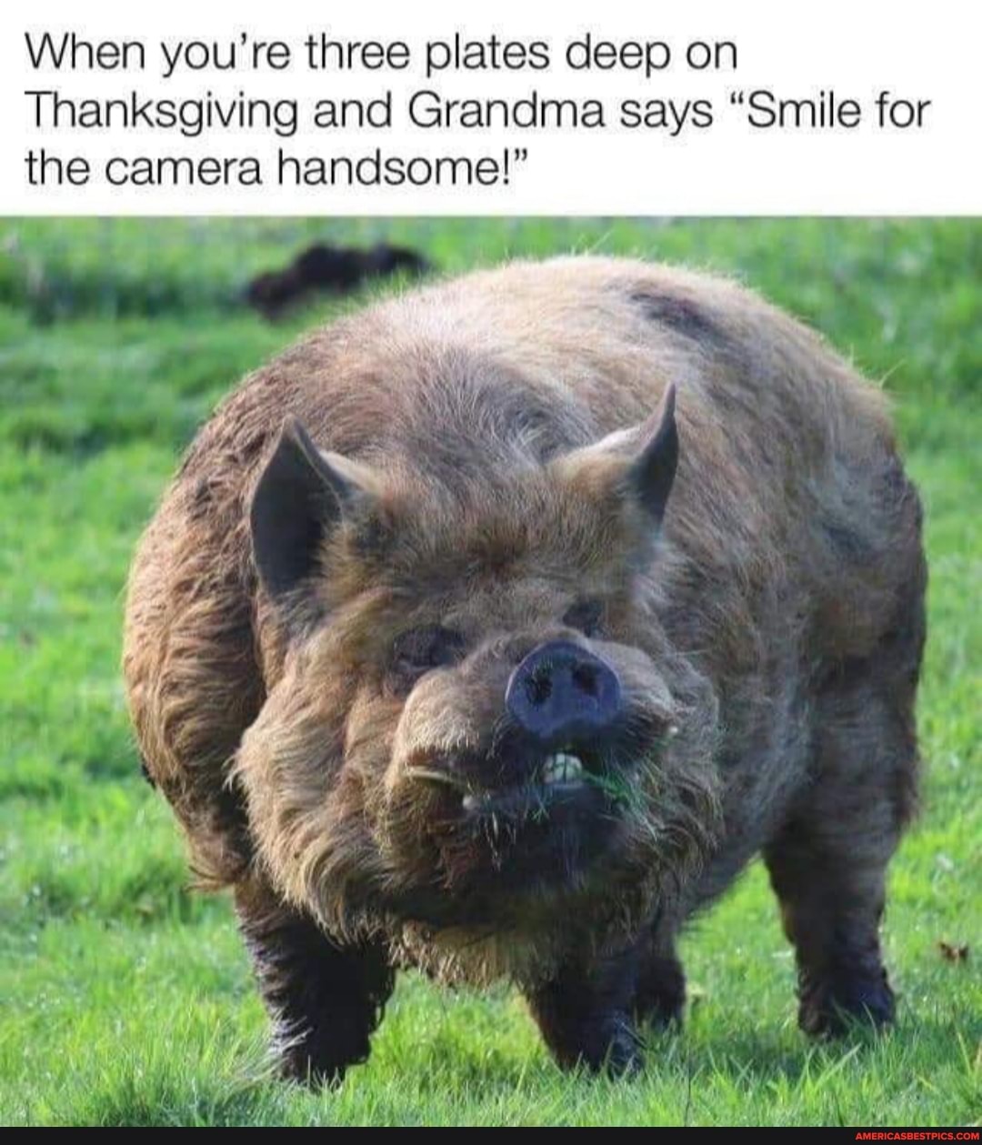 When you're three plates deep on
Thanksgiving and Grandma says "Smile for the camera handsome!"