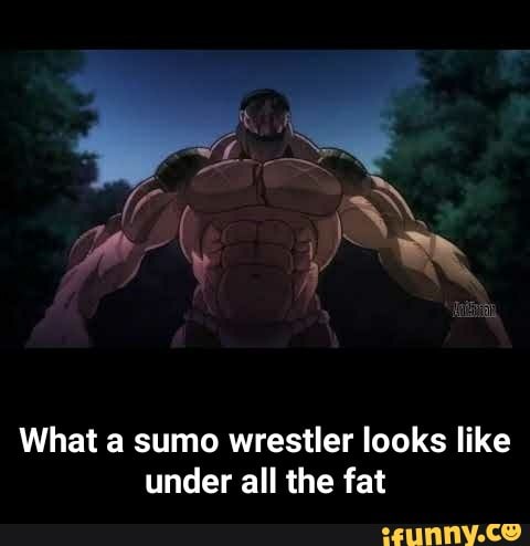 The 17 Best Anime About Wrestling And Sumo  Nihonimecom