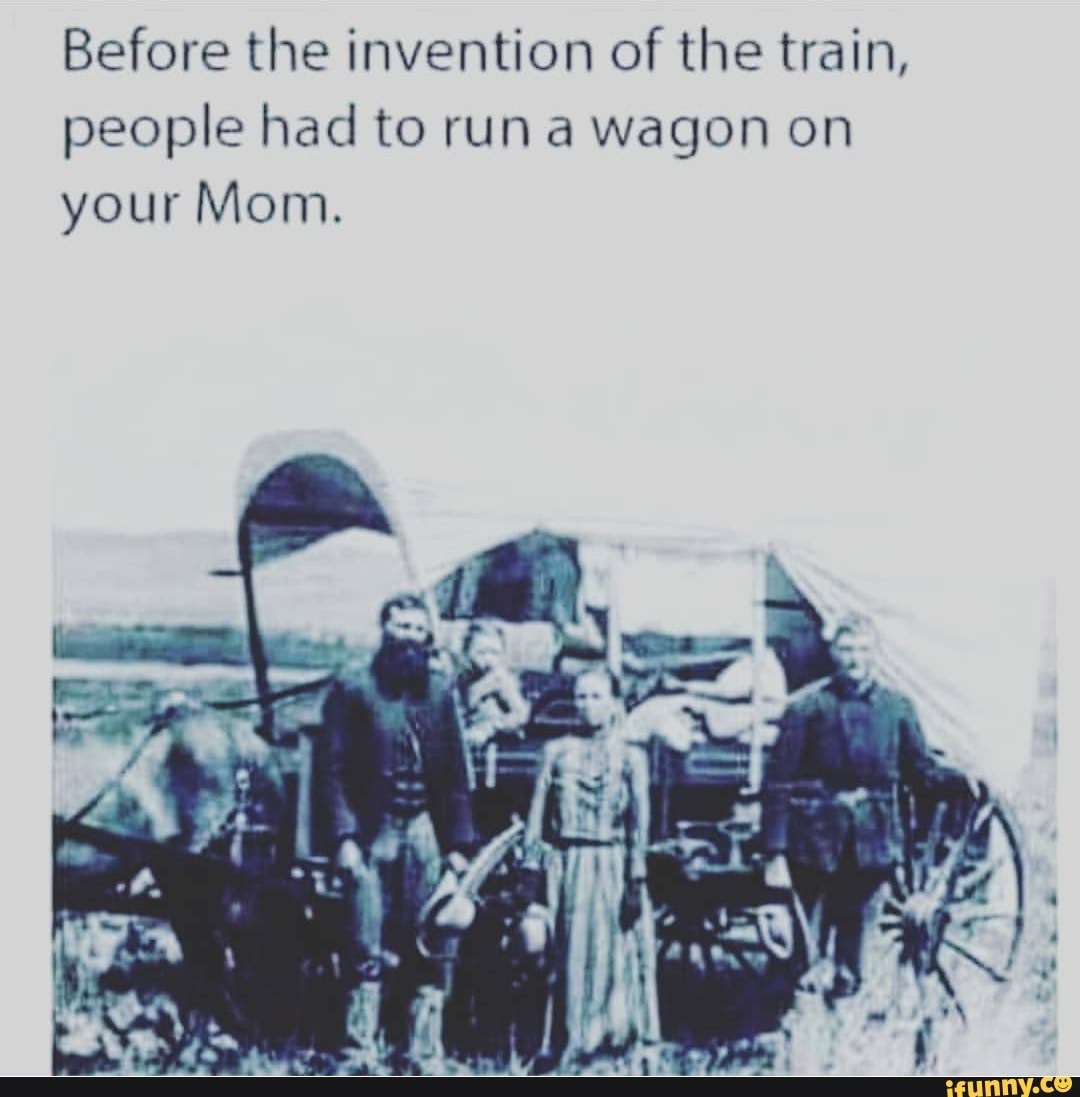 Before The Invention Of The Train, People Had To Run A Wagon On Your ...