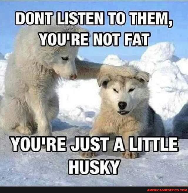 DONT LISTEN TO THEM,
YOU'RE NOT FAT
YOU'RE JUST A LITTLE HUSKY