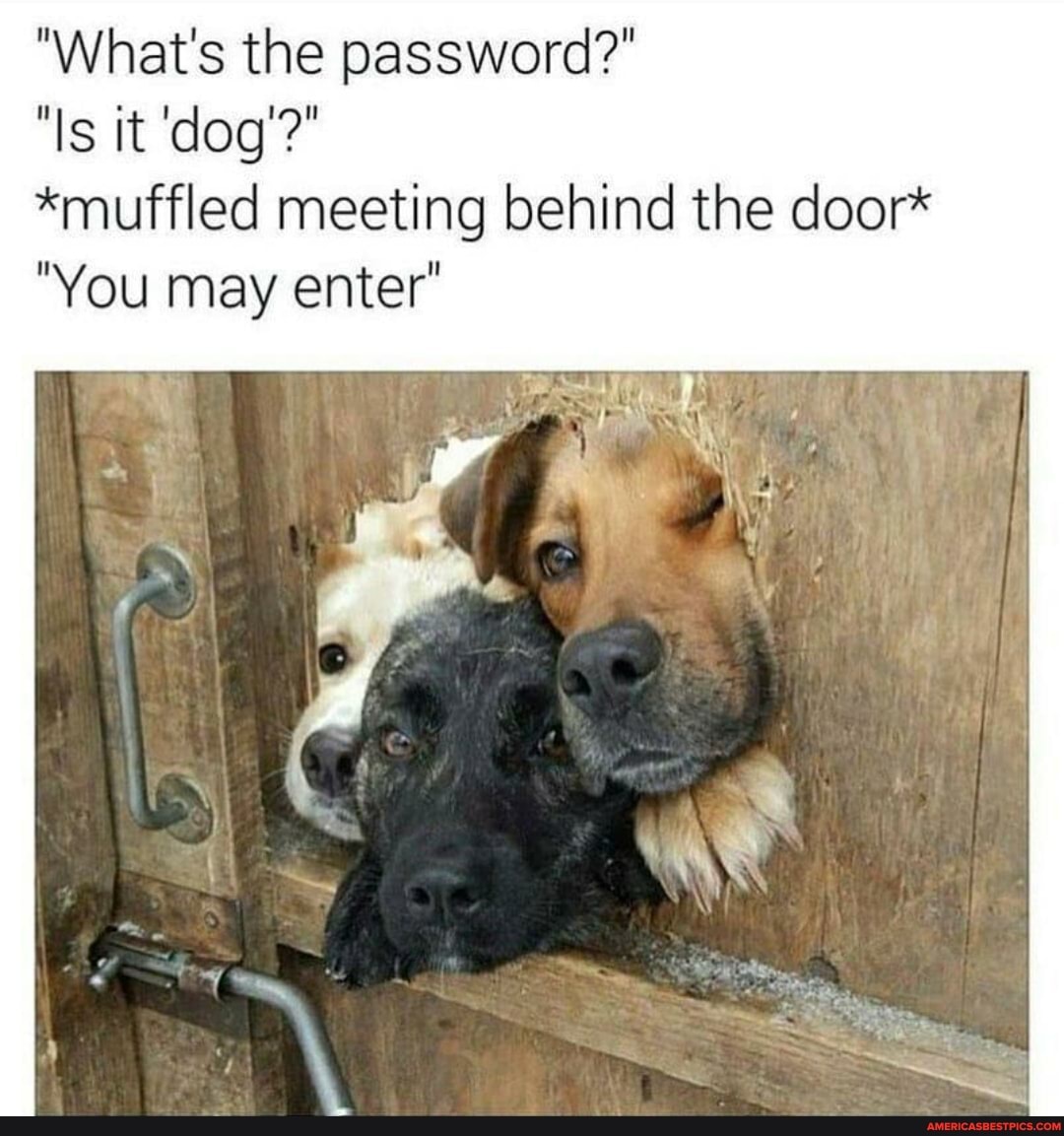 "What's the password?"
"Is it 'dog'?"
*muffled meeting behind the door*
"You may enter'