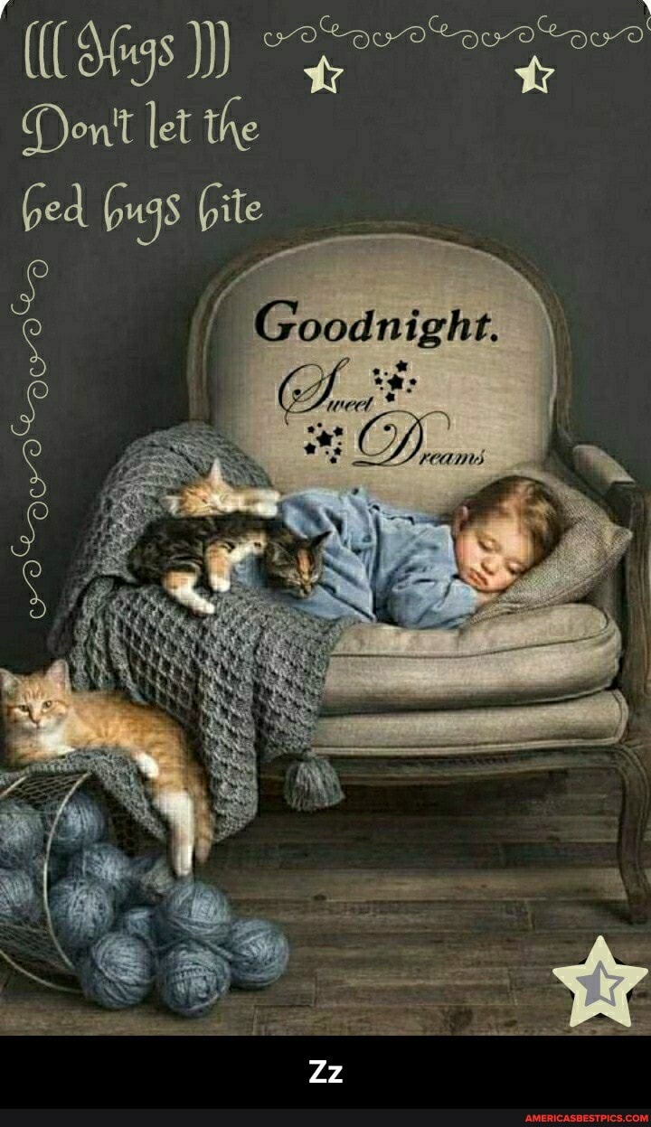 Don't let the bed bugs bite
oy fe. - Zz
