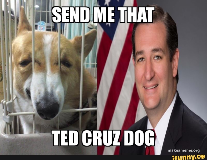 SEND ME THAT
TED CRUZ DOG