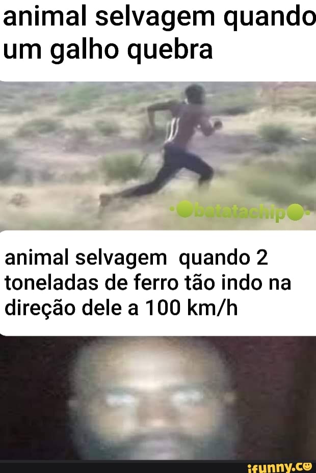 animal selvagem quando
um galho quebra
animal selvagem quando 2
toneladas de ferro tao indo na
direção dele a 100 km/h