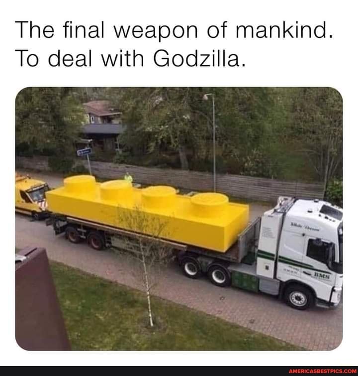 The final weapon of mankind.
To deal with Godzilla.