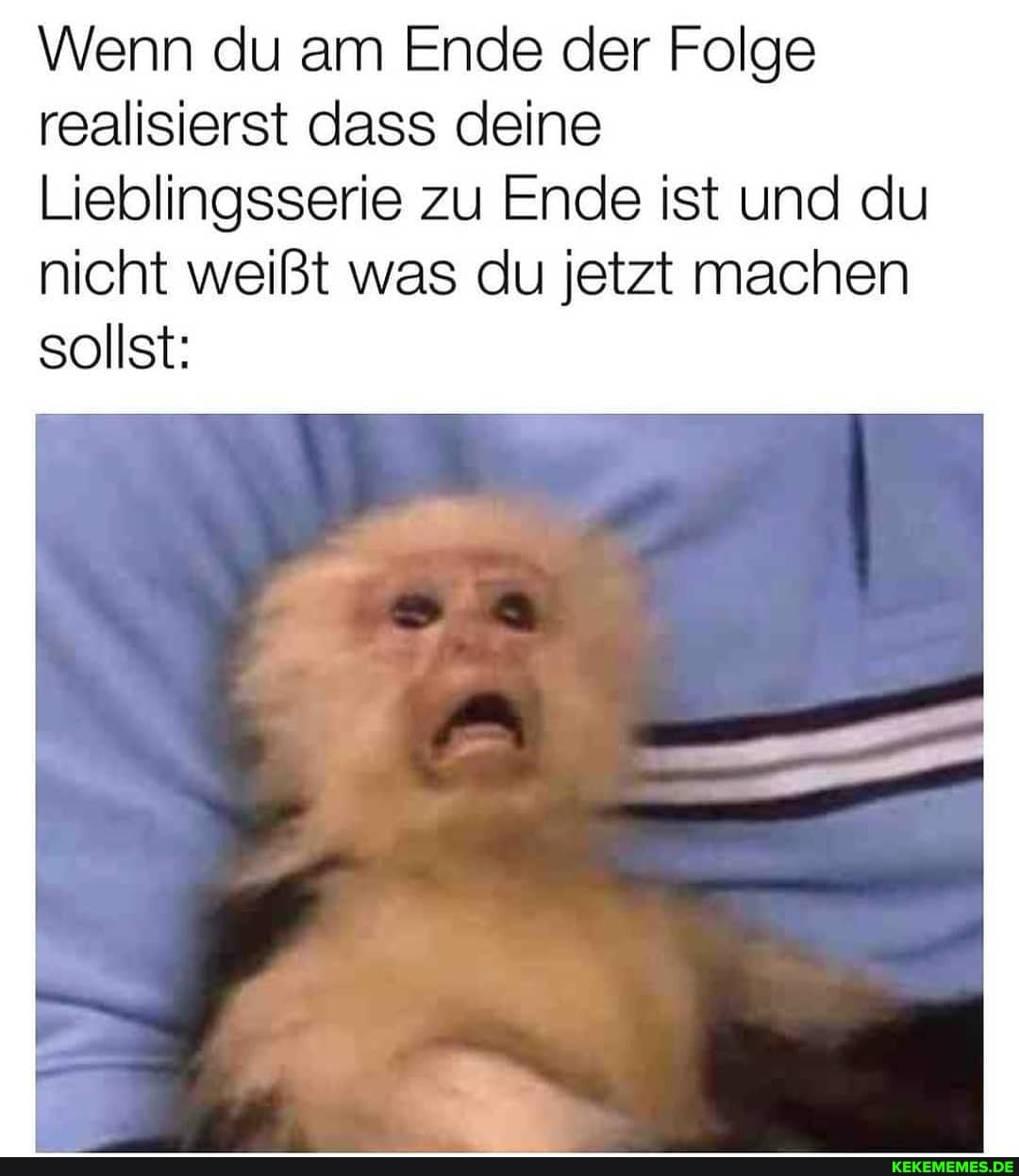 Wenn du am Ende der Folge realisierst dass deine
Lieblingsserie zu Ende ist und du
nicht weißt was du jetzt machen sollst: