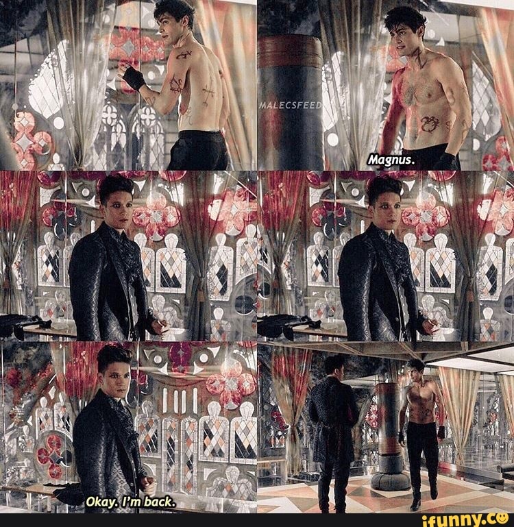 theshadowhunterchronicles, shadowhunters, themortalinstruments, aleclightwood, matthewdaddario, magnusbane, harryshumjr, malec
