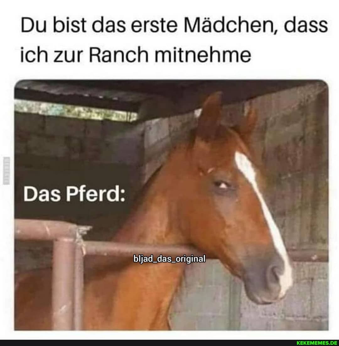 Du bist das erste Mädchen, dass ich zur Ranch mitnehme
I Das Pferd:
bljad_das.original