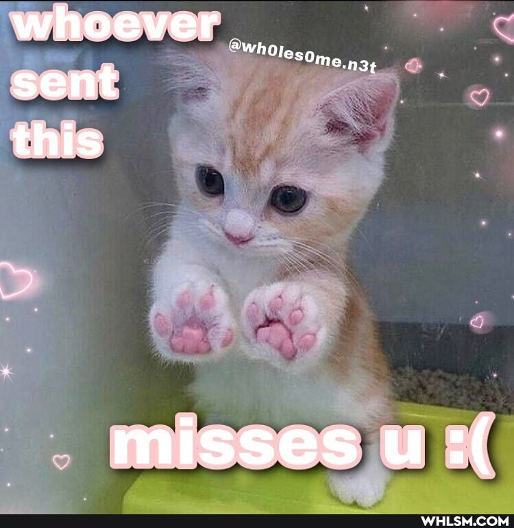 whoever sent this
"hOlesome nat
misses u