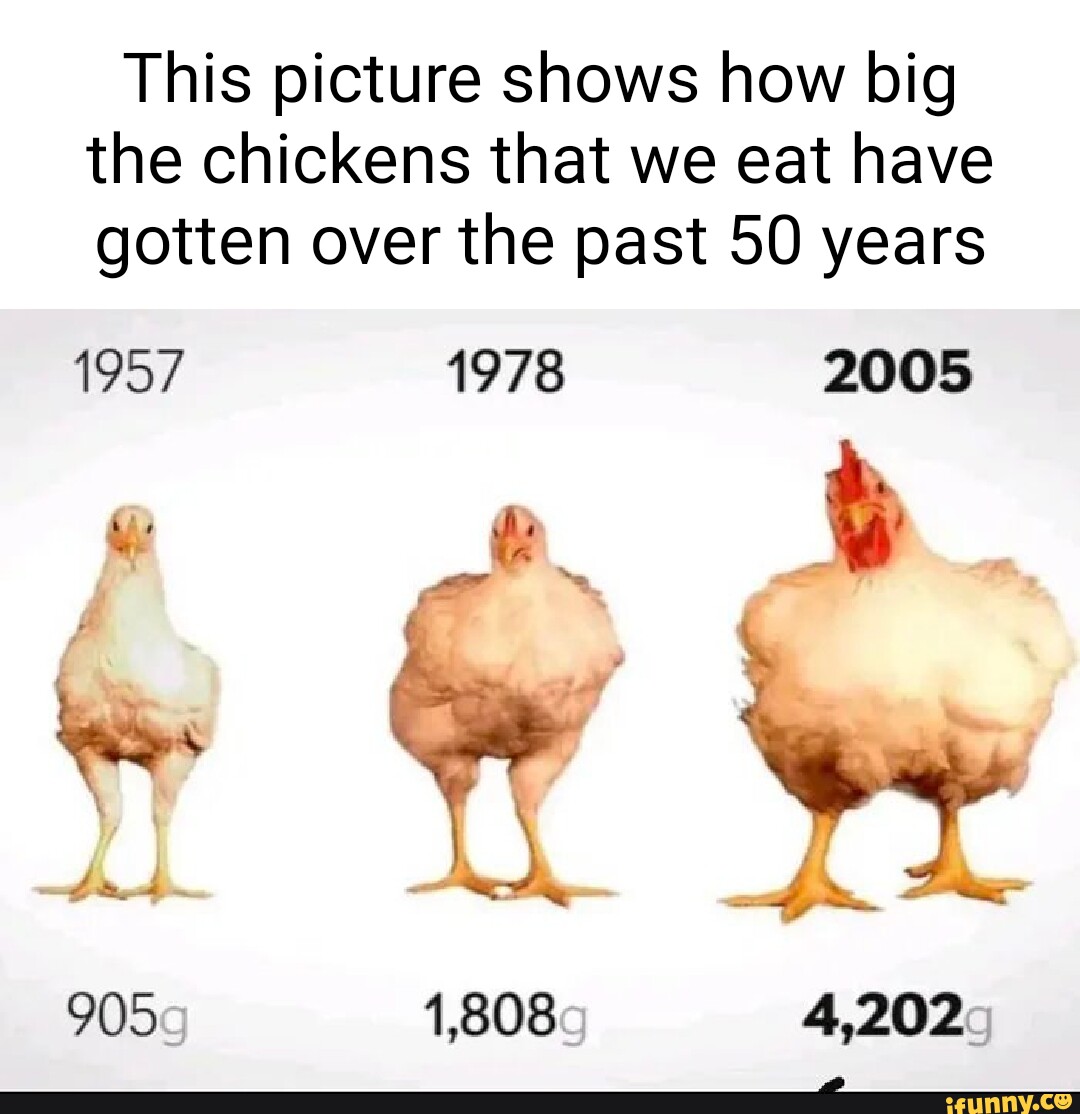 This picture shows how big the chickens that we eat have gotten over ...