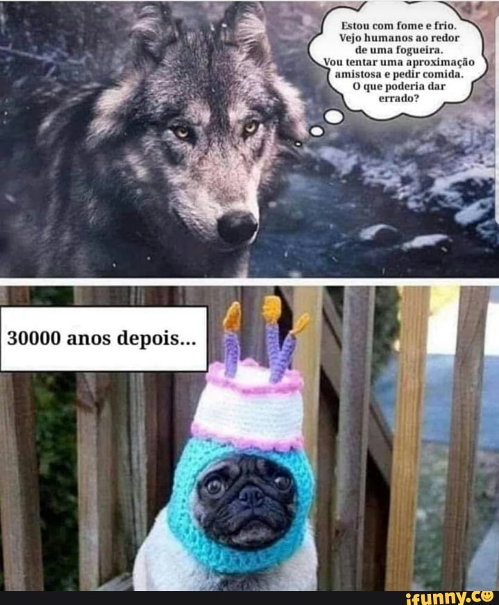 Estou com fome e frio.
Vejo humanos ao
redor
de fogueira
amistosa e pedir
O que poderia dar
errado?