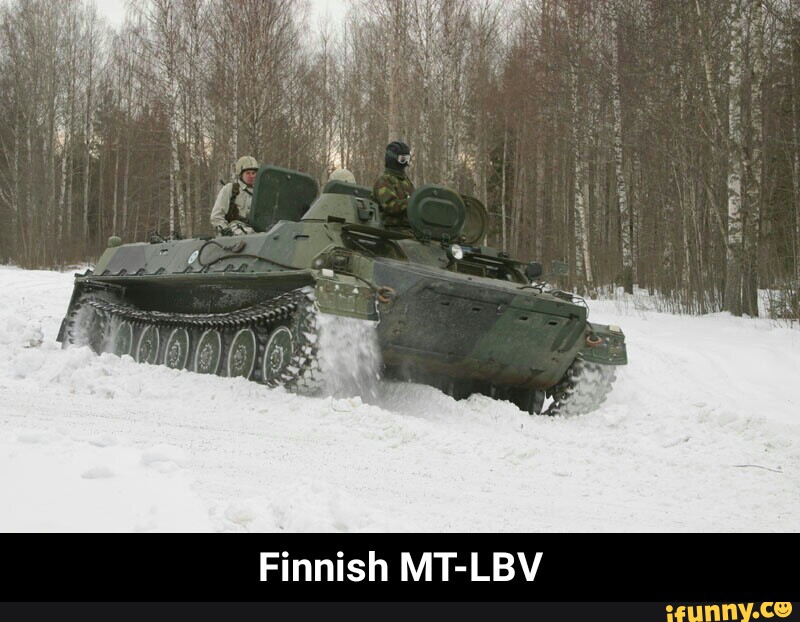 T-LBV ish M inn F - Finnish MT-LBV