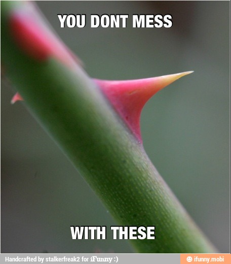 YOU DONT MESS
WITH THESE