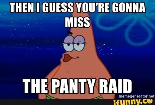 I Guess You're Gonna Miss The Panty Raid