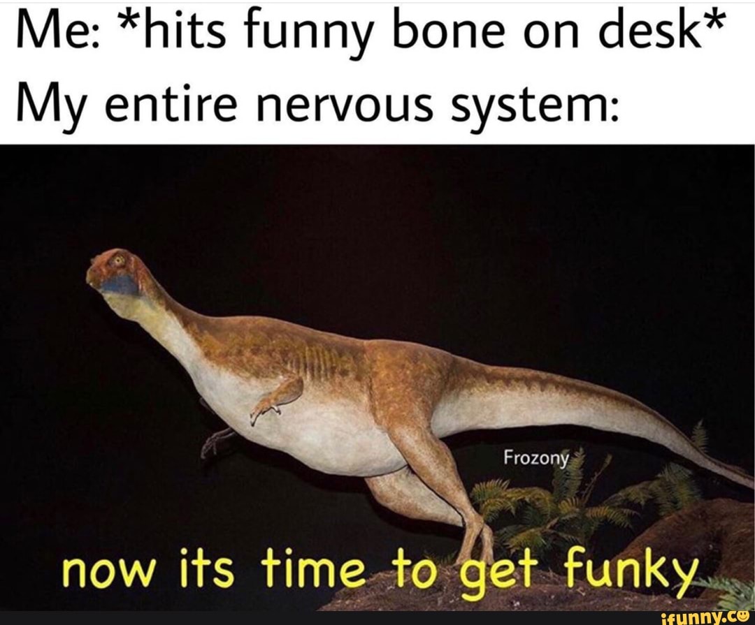 Me Hits Funny Bone On Desk My Entire Nervous System Ifunny