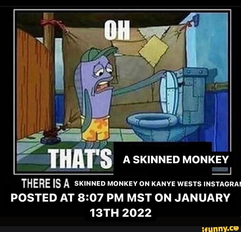 SKINNED MONKEY THERE IS A SKINNED MONKEY ON KANYE WESTS INSTAGRAI(01)
