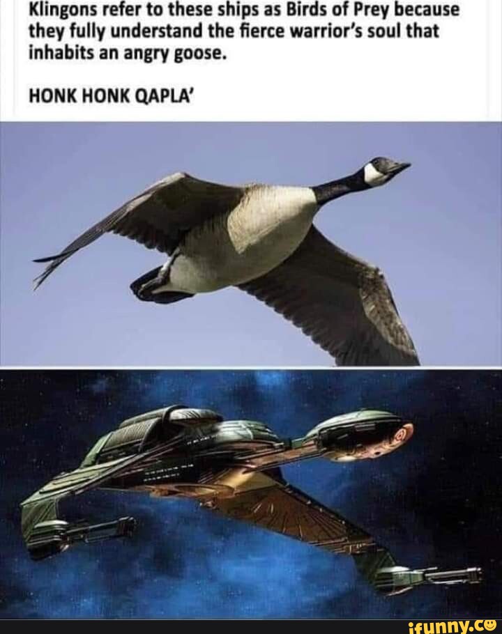 Klingons refer to these ships as Birds of Prey because they fully ...